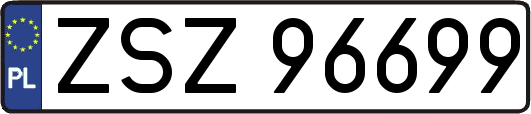 ZSZ96699