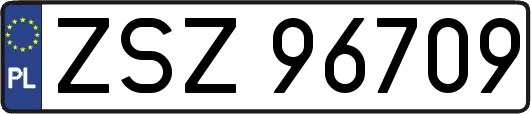 ZSZ96709