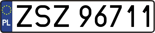 ZSZ96711