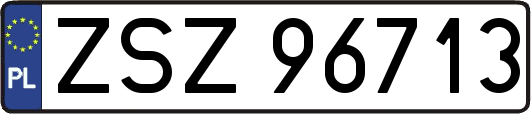ZSZ96713