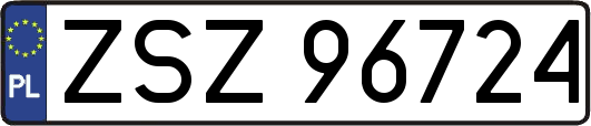 ZSZ96724