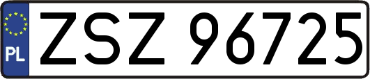 ZSZ96725
