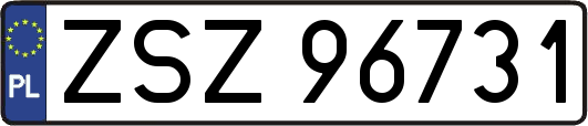 ZSZ96731