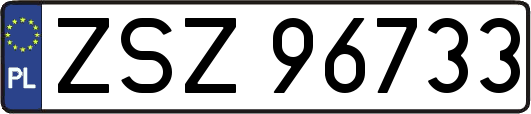 ZSZ96733