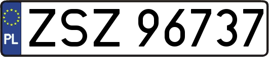 ZSZ96737