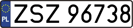 ZSZ96738