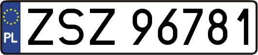 ZSZ96781