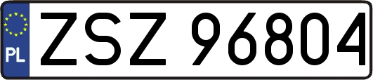 ZSZ96804