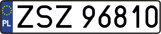 ZSZ96810