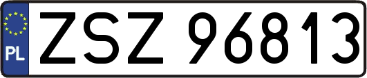 ZSZ96813