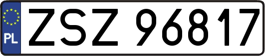 ZSZ96817