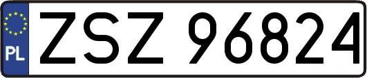 ZSZ96824