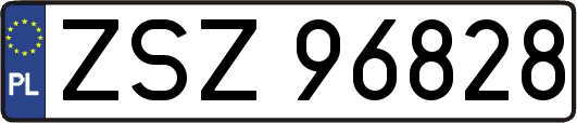 ZSZ96828