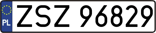 ZSZ96829