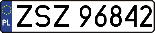 ZSZ96842