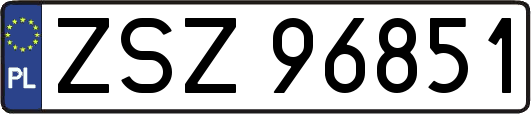 ZSZ96851