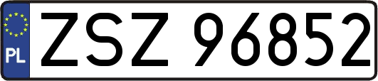 ZSZ96852