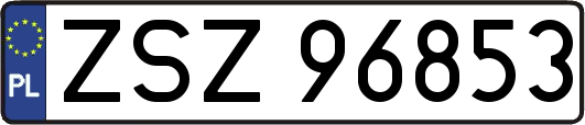 ZSZ96853