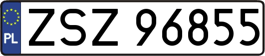 ZSZ96855