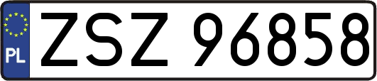 ZSZ96858