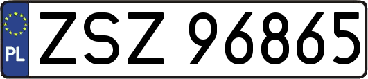 ZSZ96865