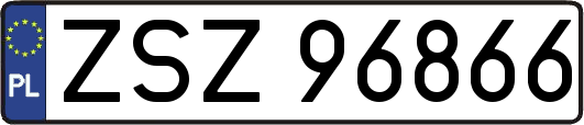 ZSZ96866