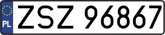 ZSZ96867
