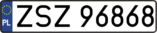 ZSZ96868