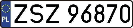 ZSZ96870