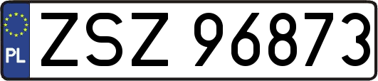ZSZ96873