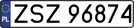 ZSZ96874
