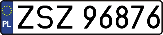 ZSZ96876