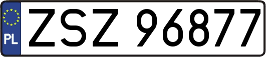 ZSZ96877