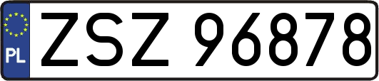 ZSZ96878