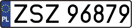 ZSZ96879