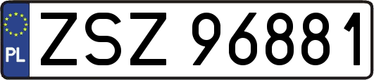 ZSZ96881