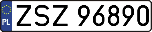ZSZ96890