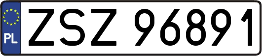 ZSZ96891