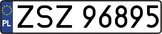 ZSZ96895