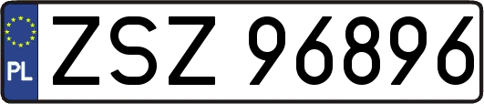ZSZ96896