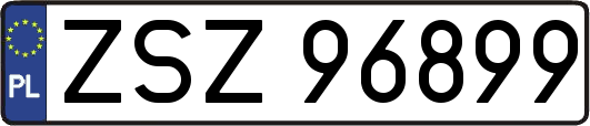 ZSZ96899