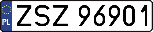 ZSZ96901