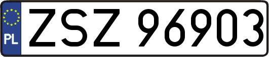 ZSZ96903