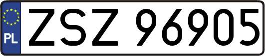 ZSZ96905