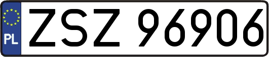 ZSZ96906