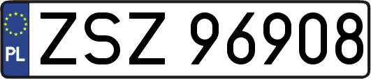 ZSZ96908