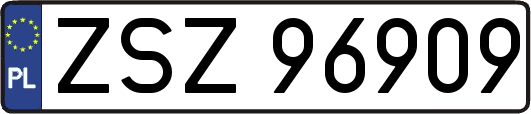 ZSZ96909