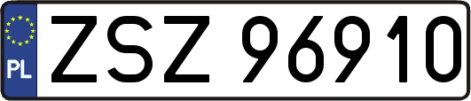 ZSZ96910