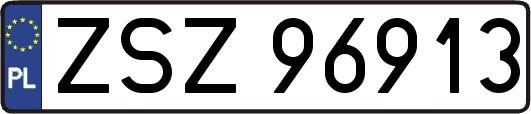 ZSZ96913