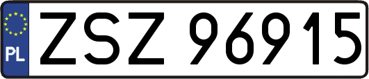 ZSZ96915